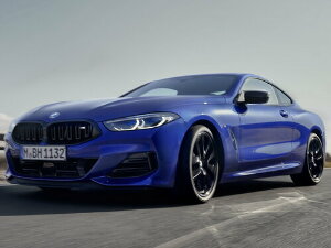 Коврики ЭВА "" для BMW 8-Series II (купе / G15 (купе)) 2019 - 2022, ые, 4шт.